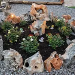 Rock Garden *